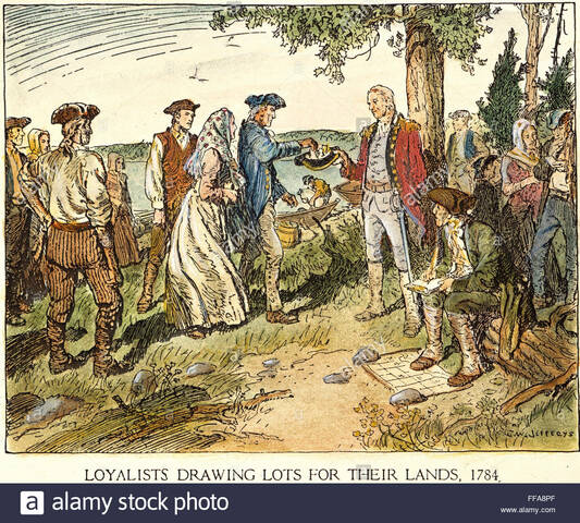 des colonies en croissance