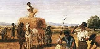 des colonies en croisssance