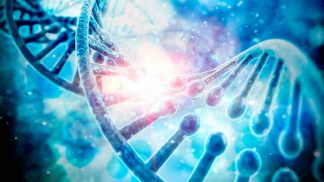 Se logra la secuencia completa del genoma humano.