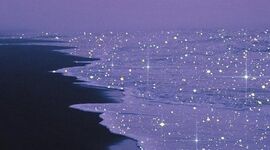 Timeline: Evolution de la tecnología