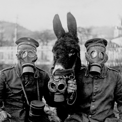 La seconda battaglia di Ypres e i gas