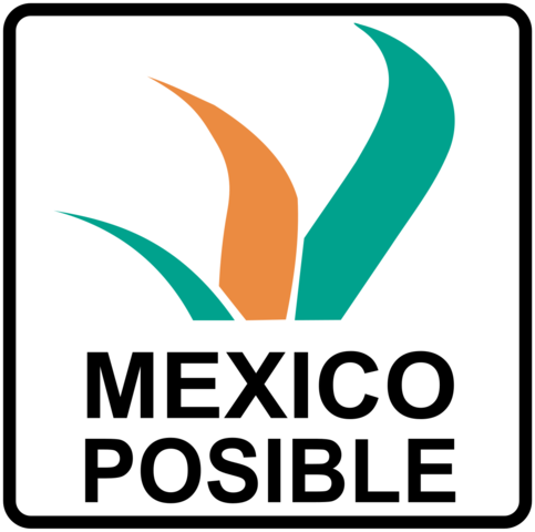México Posible 2002 – 2003