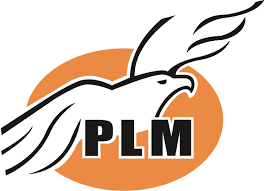 Partido Liberal Mexicano (PLM) 2002 - 2003