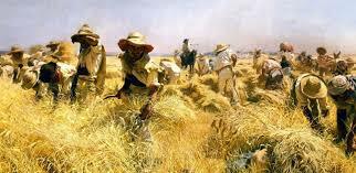 Las reformas agrarias.