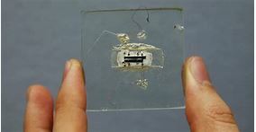 Jack Kilby and Robert Noyce invent microchip