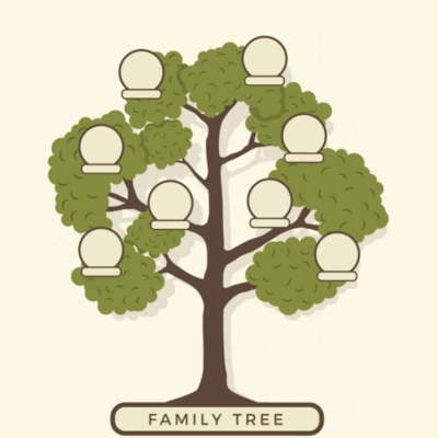 Timeline: Árbol genealógico y principales logros individualizados