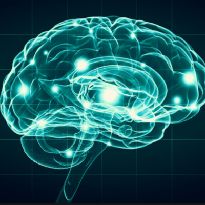 Timeline: Antecedentes Históricos de la Neuropsicología. Erick Zepeda Perea.