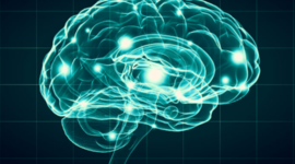 Timeline: Antecedentes Históricos de la Neuropsicología. Erick Zepeda Perea.