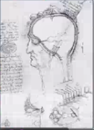 Periodo Preclasico 3500 a.C.