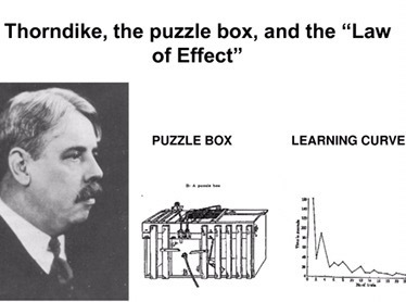 "El gato de Edward Lee Thorndike"