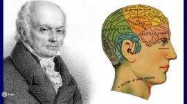 Timeline: Línea del Tiempo "Historia de la neuropsicología"