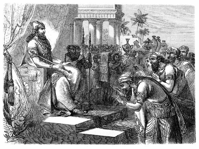 Divulgación del código.