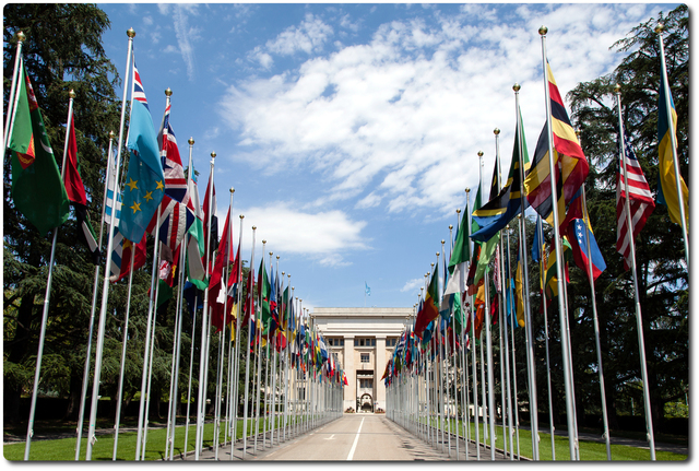 Protocolo en la actualidad