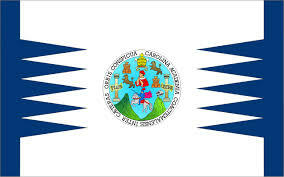 Creación de la bandera universitaria