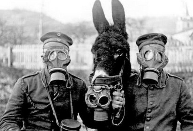 Gran Bretaña empieza a utilizar tanques y Austria gas veneno