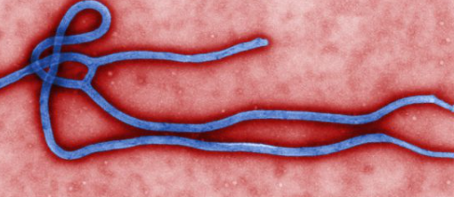 Ebola