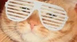 Timeline: elrubiusOMG