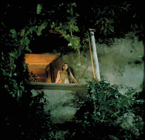 Romeo Climbs The Orchard Wall