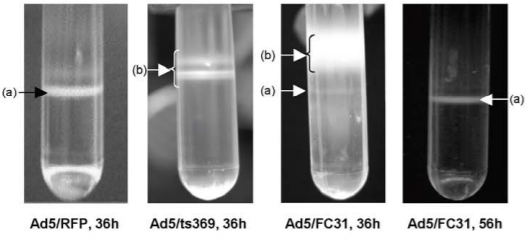 Matthew Meselson & Franklin Stahl