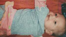 Timeline: עבודת שורשים