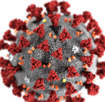 covid et confinement