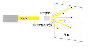 Rosalind Franklin & Maurice Wilkins