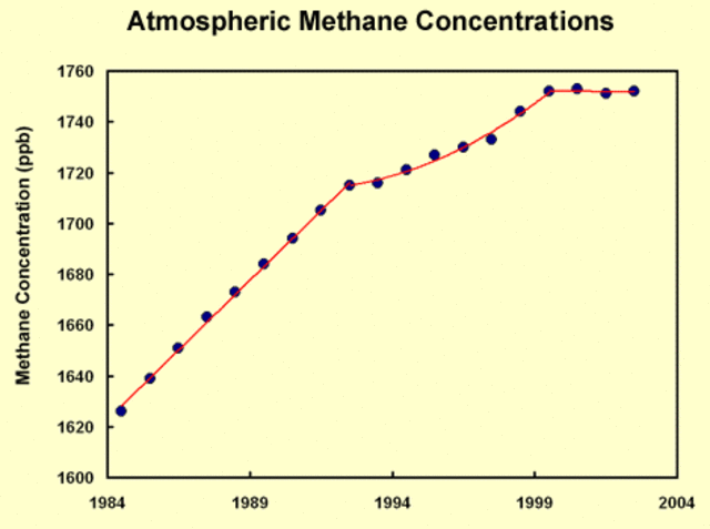 The 1,300,000,000 cattle in the world emit 60,000,000 tons of methane per year (methane is a greenhouse gas & leads to global warming)
