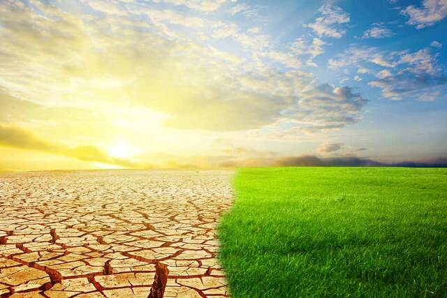 Sahara Becomes a Desert