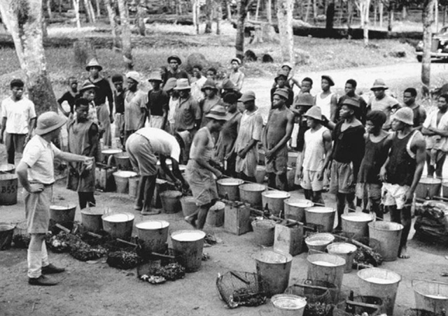 Decolonization of Cameron