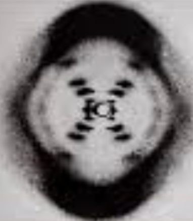 Rosalind Franklin & Maurice Wilkins