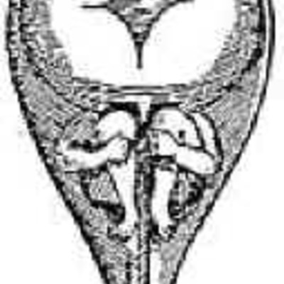 Timeline: La herencia perspectiva historica