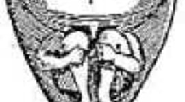 Timeline: La herencia perspectiva historica