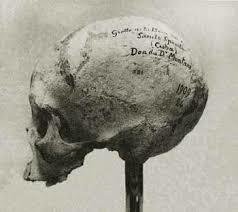 Sociedad Antropológica de París