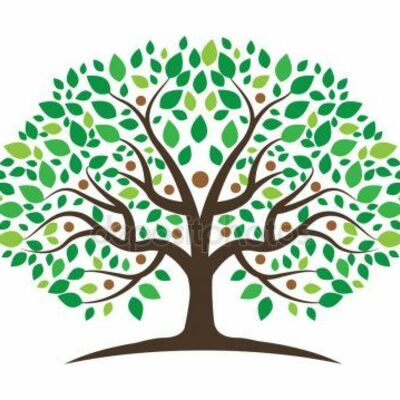 Timeline: Árbol genealógico y principales logros individualizados