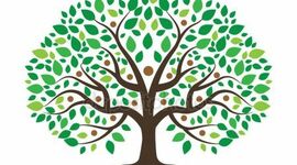 Timeline: Árbol genealógico y principales logros individualizados
