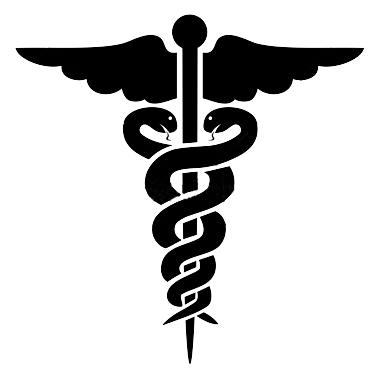 Se inauguran los estudios de medicina.