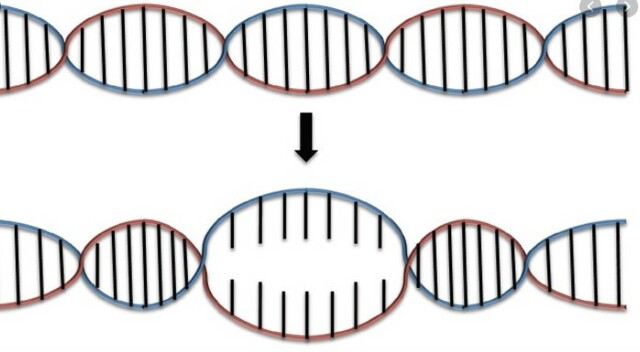 James Watson & Frances Crick