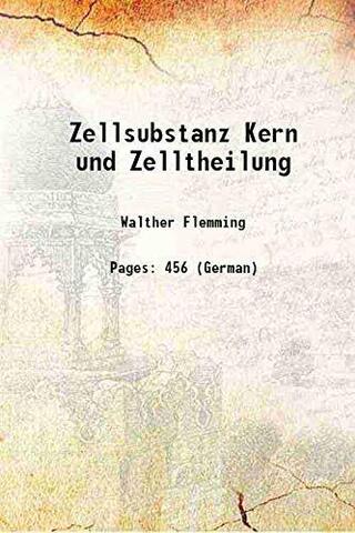 Zellsubstanz, Kern und Zelltheilung