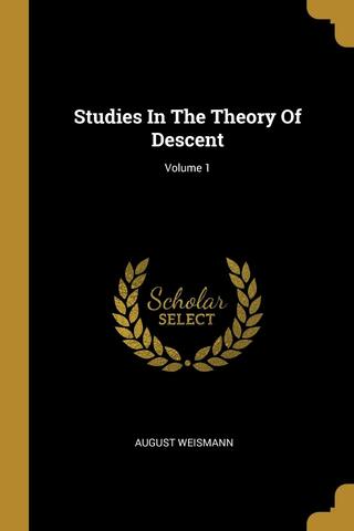 Studies in the theory of descent