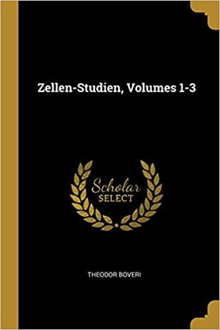 Zellen-Studien