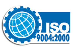 ISO 9004:2000