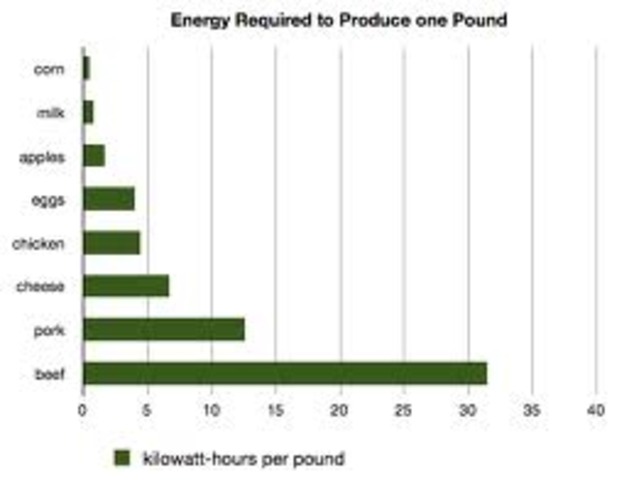 To produce 1 calorie of energy from meat it takes 60 calories of petrol, whereas growing grains & legumes to directly feed people produces 20 calories for each calorie of fuel used
