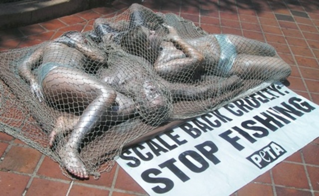 Fishermen’s nets kill 10 times as many other animals as the fish they are hoping to catch.