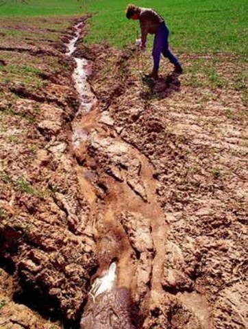 Pressure on land due to meat farming leads to soil erosion 6billion tons/year in the USA