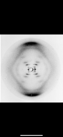 Rosalind Franklin & Maurice Wilkins