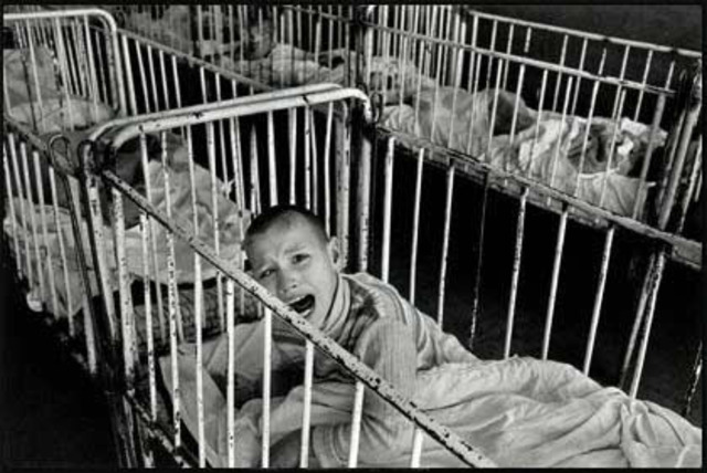 Every year in the UK we feed our livestock enough food to feed 250,000,000 people while in the world 30,000,000 people die of starvation.