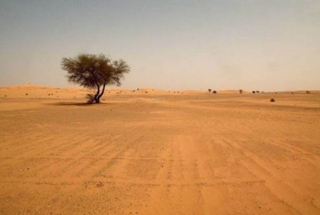 Due to overgrazing, 850,000,000 people live on land threatened by desertification & over 230,000,000 already live on land so severely desertified that they are unable to sustain their existence & face imminent starvation.