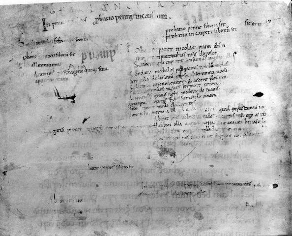 ‘’Hebban olla vogala’’