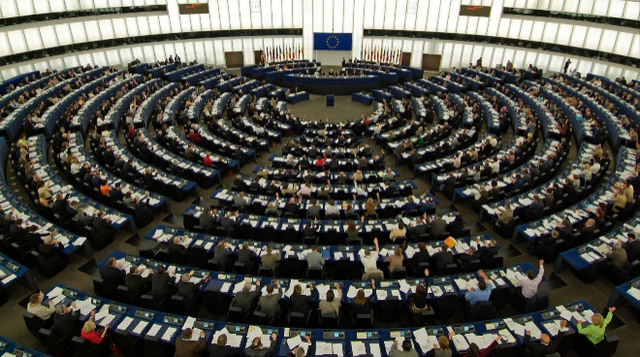 Parlamento y Consejo Europeo (1995)