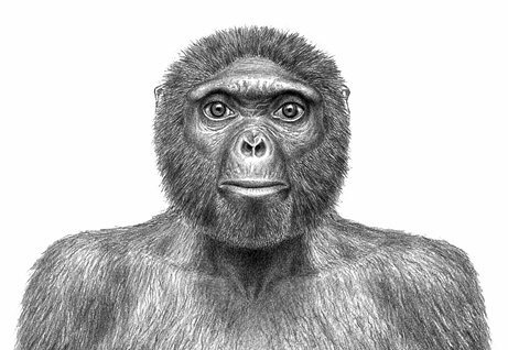 ultima abuela comuns de humano